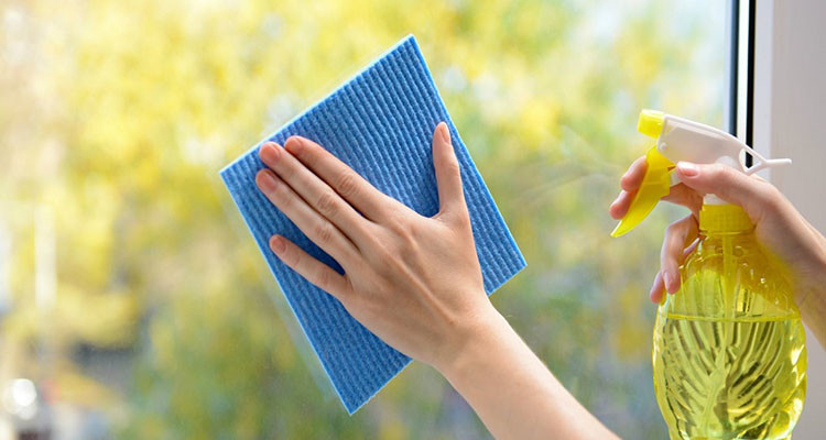 Dış Cephe Temizliği